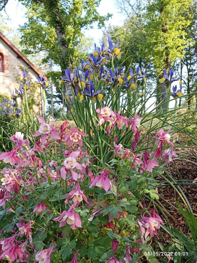 The Cosy Retreat Mornay-sur-Allier Exterior foto